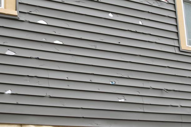 Affordable Siding Repair and Maintenance Services in Lucerne Valley, CA